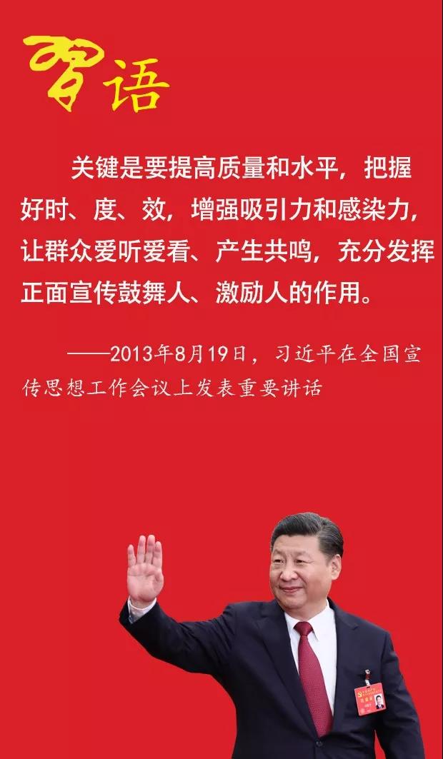 黑白体育赛事资讯平台