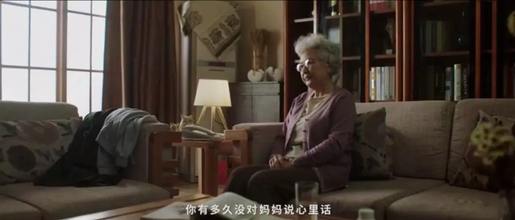 黑白体育体育频道