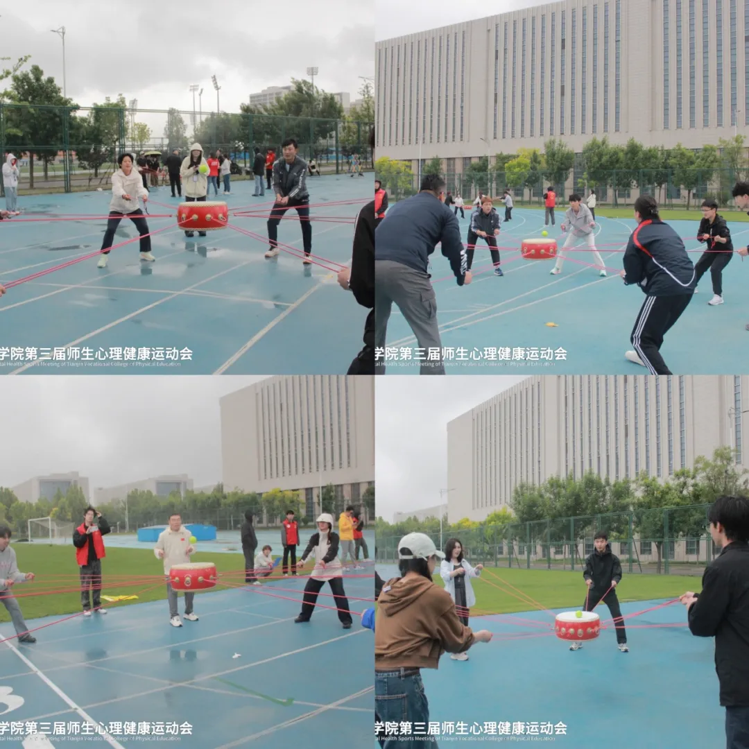 黑白体育体育频道